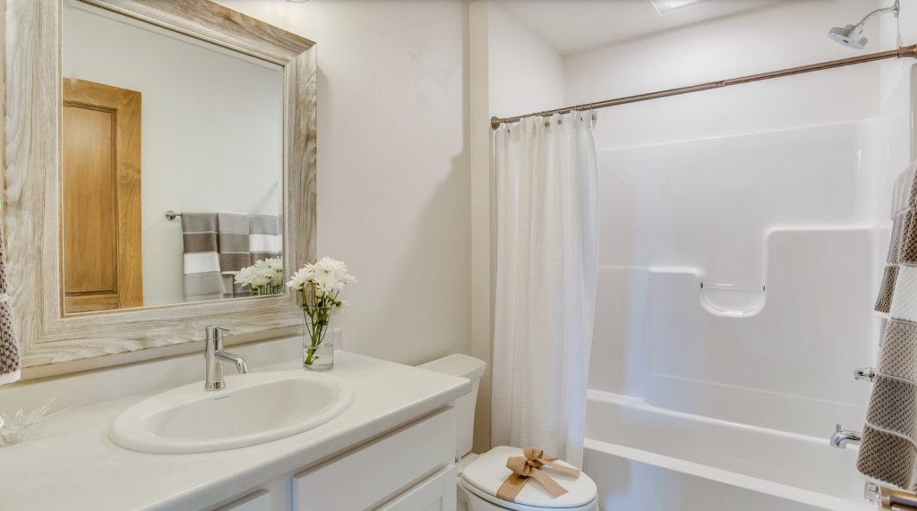 5 Small Bathroom Remodel Ideas for Tampa Homes
